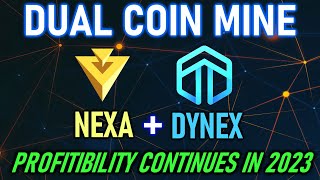NEXA and DYNEX Dual Coin Mining on HiveOS | lol Miner 1.68
