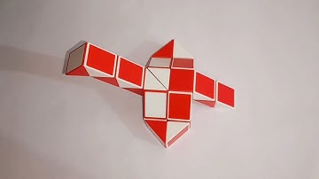 Dinosaur Type 5 | Snake Cube Pattern