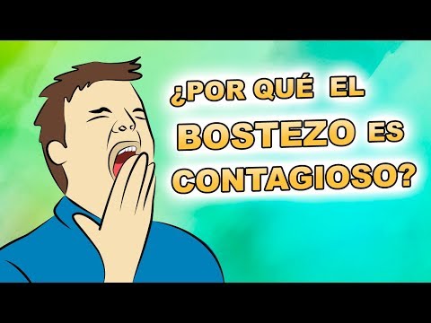 Vídeo: ¿Por Qué Bostezamos Y Es Contagioso?