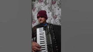 xote do Vitório Celso Taborda interpretação de Afonso Baiak