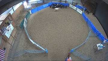 Big Sky Ranch Sorting Saddle Series #4 - OPEN - Round #2 - Ride #9