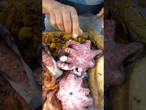 مشاهده مباشره يوتيوب مطعم السمك المقلي مطاعم الوجبات السريعة في مدينة الداخلة المملكة المغربية