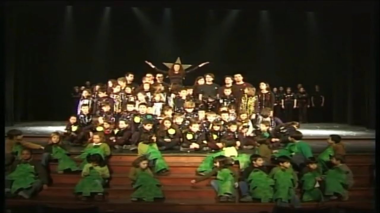 À procura de um pinheiro - José Carlos Godinho