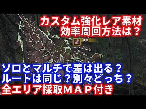 出ない 導きの龍骨 荒地 【導きの地】資源レベルの仕組み解説、巨大鉱脈や骨塚の出現条件と効率的に採取するコツ