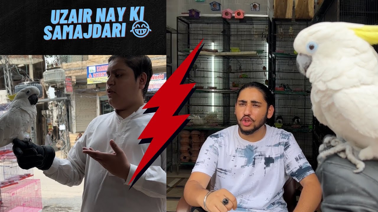 Uzair Nay Ki Samajdari 😂#salahuddinsatti #fyp #foryou #foryoupage #shortstories #4upageシ #funny