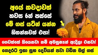 අයේ කවදාවත් හවස 6න් පස්සේ මේ ගස් යටින් යන්න එපා! - මේ ගස් ගෙවත්තේ තියෙනවා නම් අමනුෂ්‍යන් ඇදිලා එනවා!