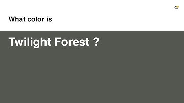Twilight Forest color #54574f hex color - Grey color - Cool color 54574f