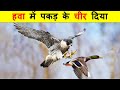 बाझ इतने खूंखार और तेज़ कैसे होते हैं ? HOW ARE EAGLE SO DREADED AND FAST ?