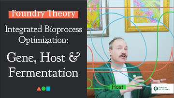 FT049 - Integrated Bioprocess Optimization