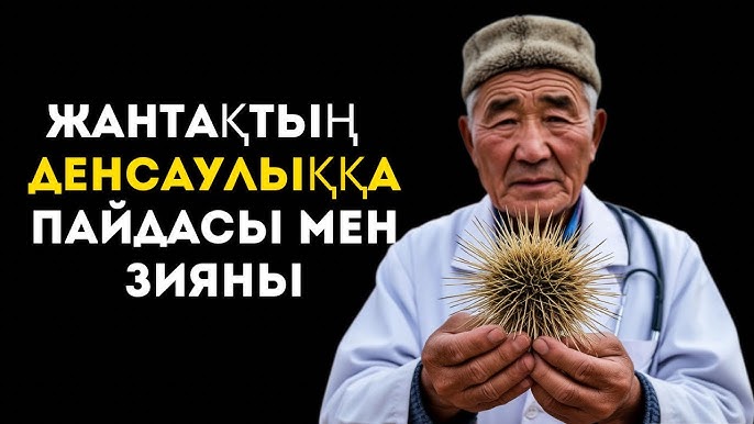 Майлы кискадағы шұжық