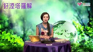 釨湮塔羅解 ep356a - 「塔羅時事」之「登革熱爆發香港，該如何防範嗎？」 - 20180825a