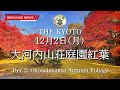 【速報】12月2日(月)の大河内山荘庭園の紅葉状況！絶好の見頃！京都の紅葉状況を世界最速でお届け！