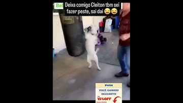 Những tình huống hài hước của các loài động vật đáng yêu PHẦN 30