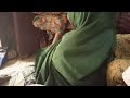 Kunar Aljannu Masusa Fada Tsakanin Mata Da Niji 