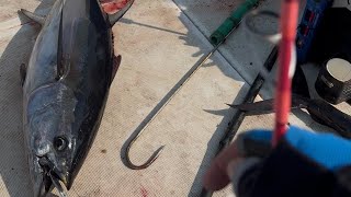Epic Battle! 11KG Tuna on Light Setup | Goofish Pink PE1-2 + Stella SW4000XG + Varivas Avani PE1.5