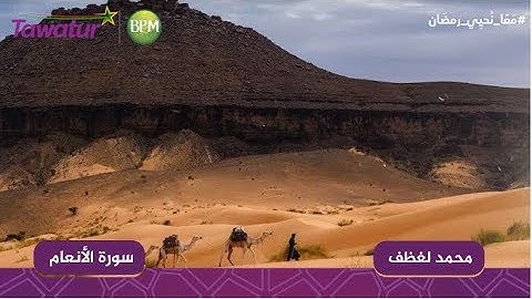 سورة  الأنعام - القارئ الموريتاني محمد لغظف ولد محمد سيدي