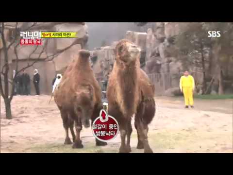 런닝맨(은지원,제시카)#2