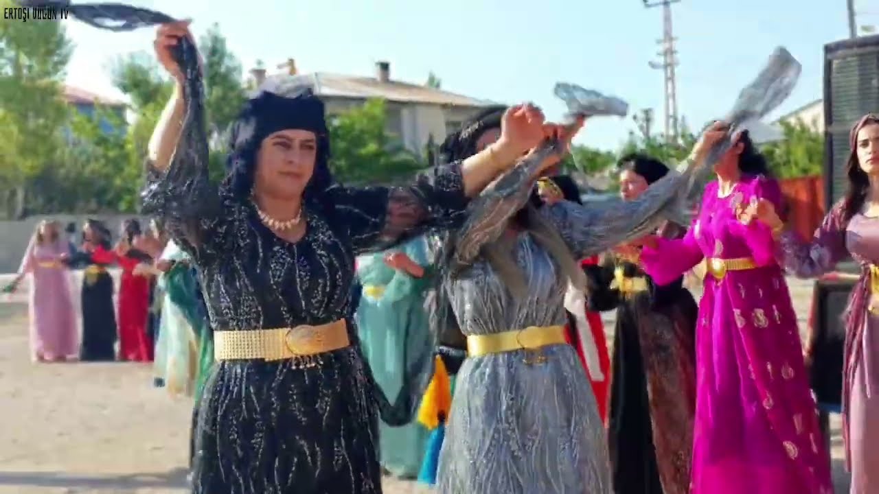 Hozan Ersin Ertoşi Aşireti Ferman & Harun Dayan Ailesi Düğünü 2023