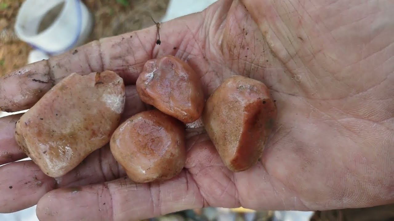 2 Hours $400 Gemstone Hunting in the riverbed stones large brown Jasper, moonstone, Gems