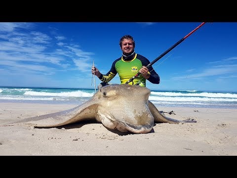 Shore-Based Sharking - On The Water