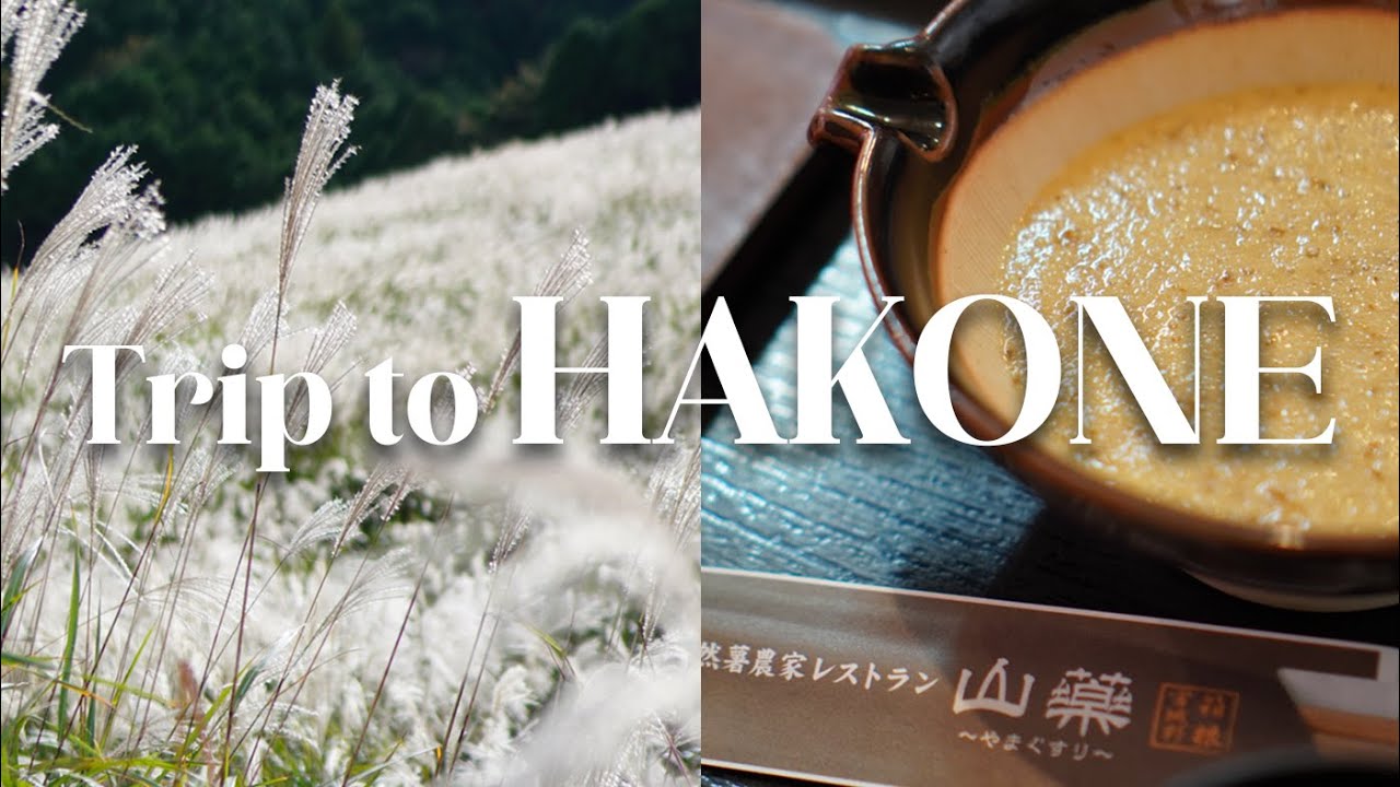 【箱根】ベビーウェルカムの旅館、小涌園へ1泊2日旅行｜生後4ヶ月｜ミキハウス認定｜2024年10月｜【4K】