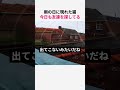 雨の日も友達を探す猫w