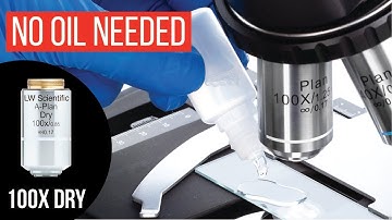 100x Infinity Plan DRY Objective