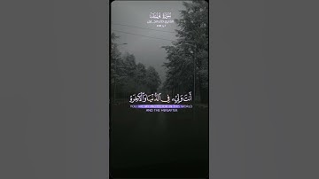 القرآن الكريم بصوت جميل #القرآن_الكريم#راحة_نفسية #القرآن_الكريم #اكسبلور #لايك #instagram #tiktok