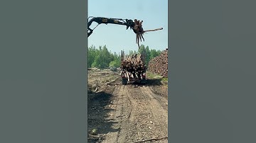 Loading tree length! #viral #trucking ￼￼
