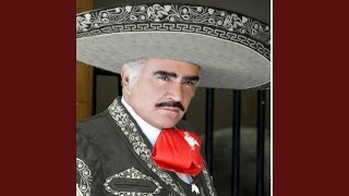 Video thumbnail of "Vicente Fernández - Mujeres Divinas"