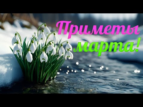 Интересные факты и приметы марта/ #март #2025