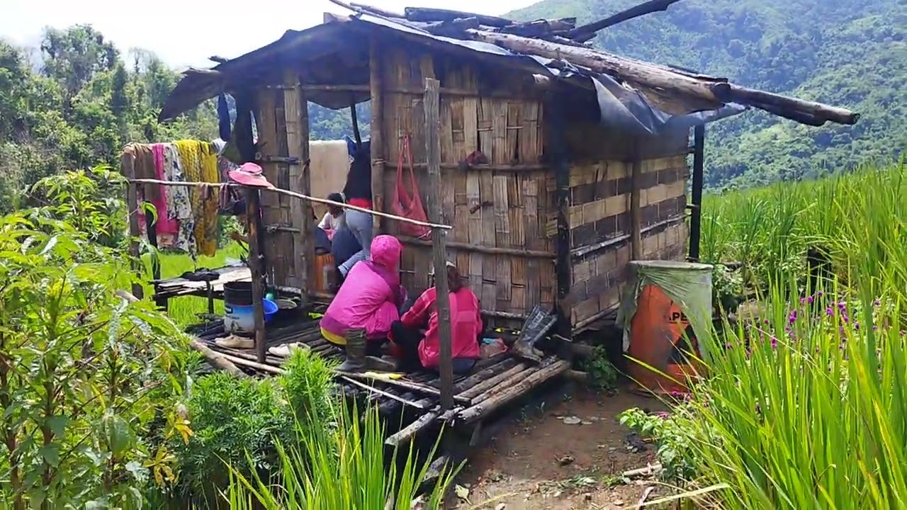 Dt. 9.sept.2025 (tue) U vena te lo thlawh.. 