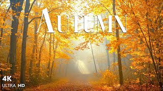 🍁 4K Autumn Piano Music – Peaceful Relaxing Fall Melodies for Sleep, Study &amp; Stress Relief