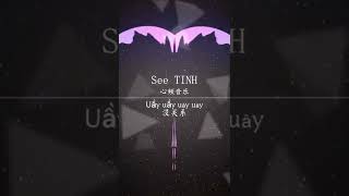 See tinh - TikTok song