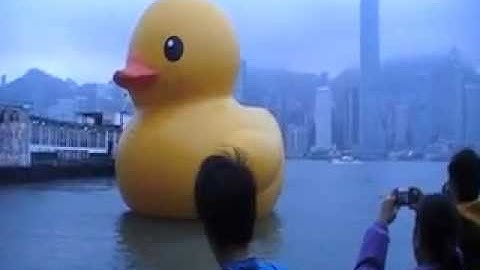 World Record Yellow Duck Hong Kong