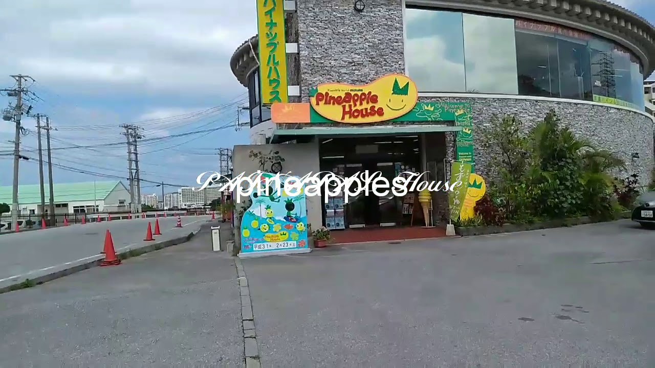 pineapple house パイナップルハウス 沖縄 YouTube