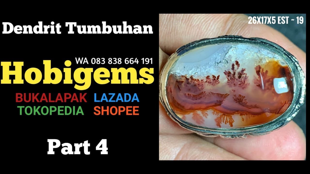 Batu Akik Dendrit Kristal Asli 4 MotifGambar UnikAntik