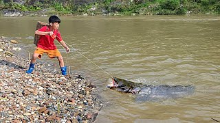 Ancient fishing techniques, Bac used pig liver to fish carp and catfish during the flood season.