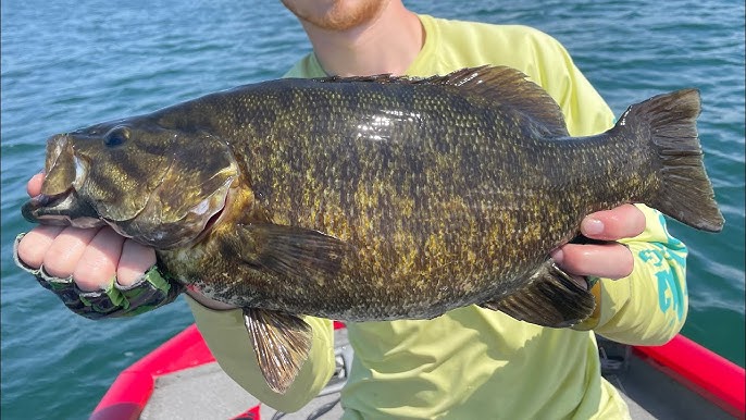 Cory Johnston using a flogger to catch big smallmouth on the St