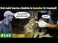 Koi nahi karna chahta is bandar ki madad! | Monkey rescue! | Peepal Farm Update #146