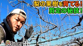 埼玉・梨の果樹を育てる！剪定の秘技！～埼玉・久喜市～ 第4代農Tuber 渡邉雅弘 / JAグループ「農Tuber」ちゃんねる