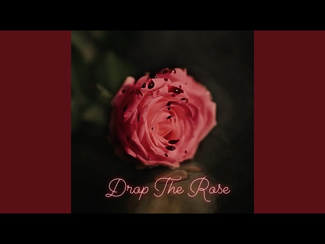Drop the Rose class=