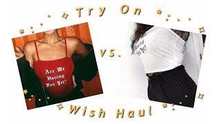 Aesthetic Wish Try On Haul! IS IT WORTH IT