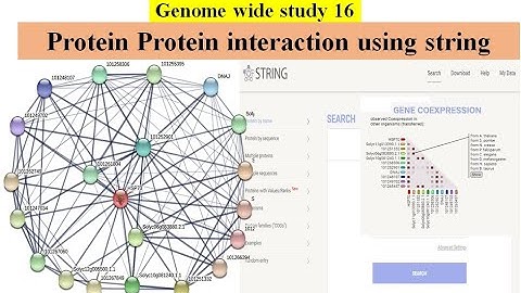 Genome wide study Part 16 | Protein Protein interaction PPI network using STRING database
