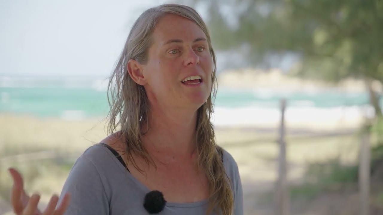 From Blue Spark to Blue Park