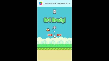 Flappy Bird Hack
