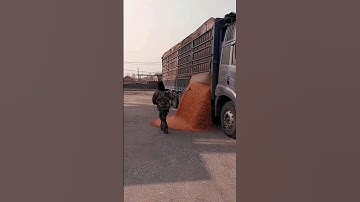 satisfying beans unloading❤