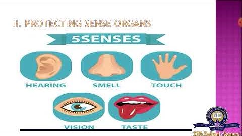 Class 3/ TN Board/ Science/ Session 1