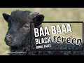 🐑 Sheep Baaing Sounds | 📺 Black Screen | 🕙 10 Hours | For Sleep, Relaxing | Bonus Facts