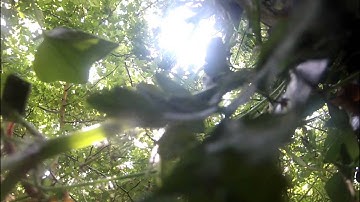 TBS Discovery 3D printed Brushless Gimbal test runaway Quad crash